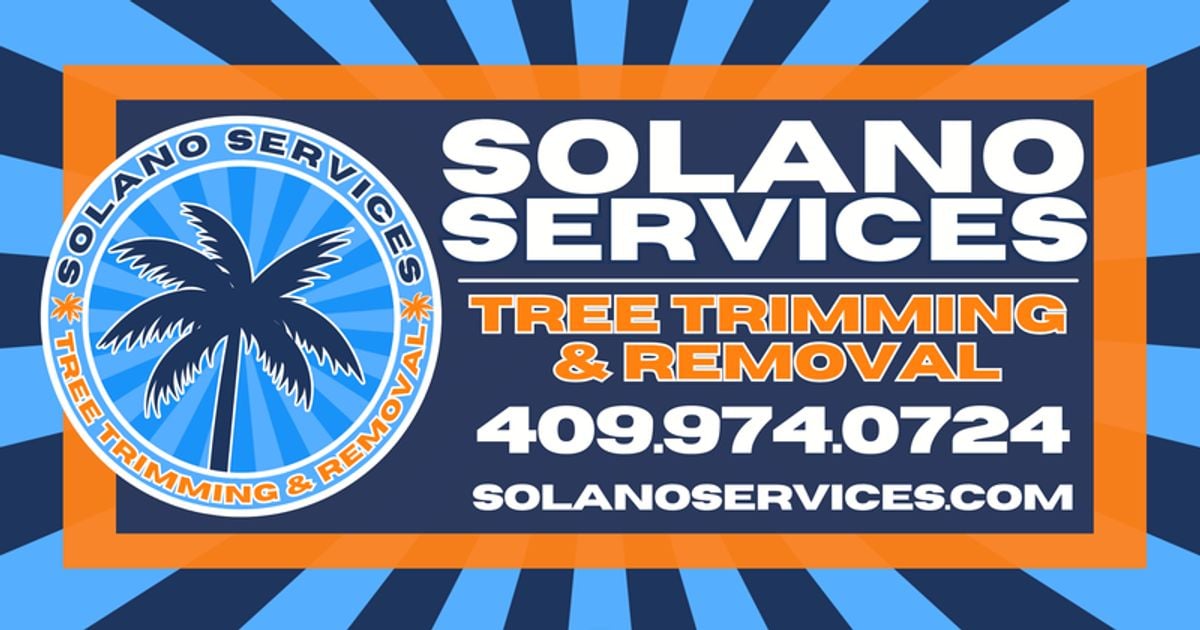 SOLANO SERVICES LLC logo